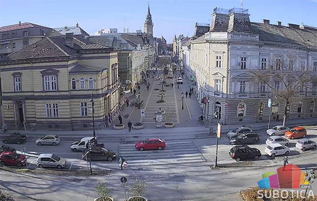 Počela seča lipa na Korzou, biće zamenjene novom vrstom