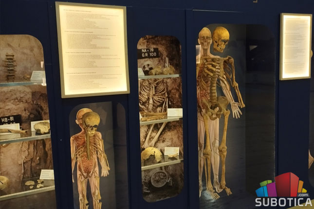 Prirodnjačko odeljenje Gradskog muzeja priprema brojne programe