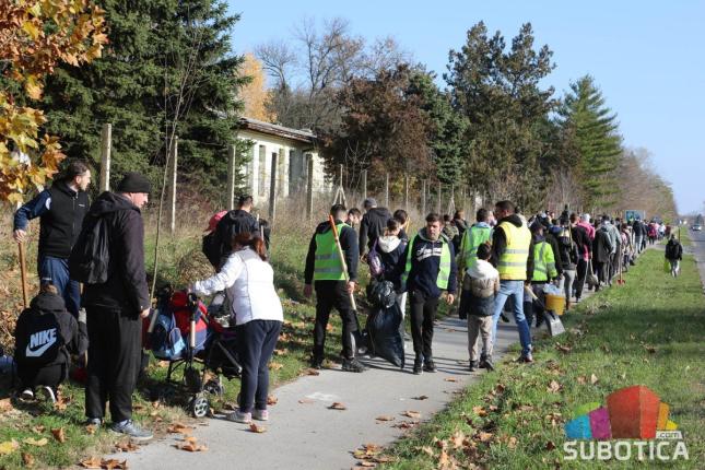 Velika akcija podizanja drvoreda na Palićkom putu