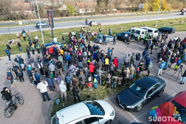 Velika akcija podizanja drvoreda na Palićkom putu