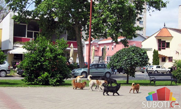 Pet ujeda pasa za tri dana