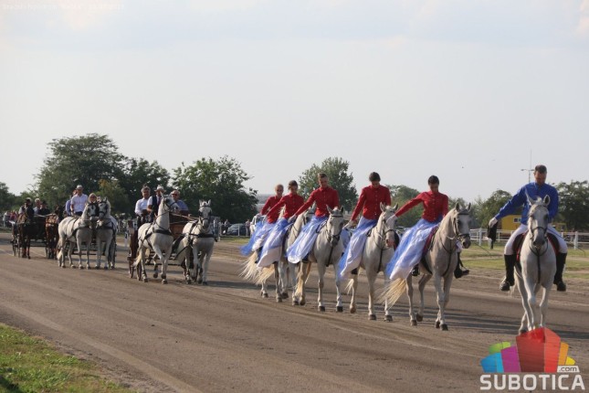 Grlo "Syria AT" pobednik srpskog kasačkog derbija u Subotici