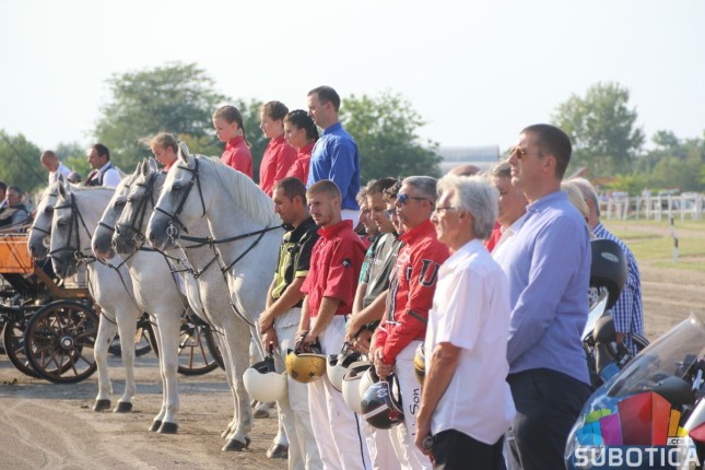 Grlo "Syria AT" pobednik srpskog kasačkog derbija u Subotici