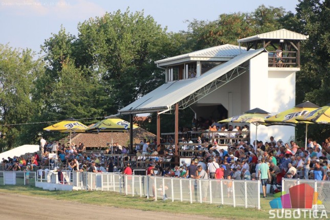 Grlo "Syria AT" pobednik srpskog kasačkog derbija u Subotici