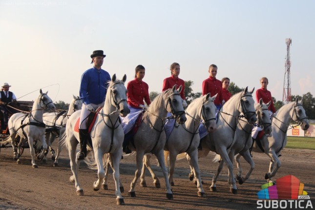 Grlo "Syria AT" pobednik srpskog kasačkog derbija u Subotici