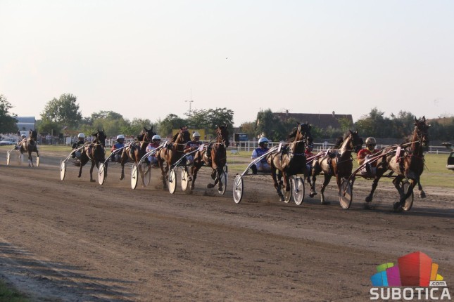 Grlo "Syria AT" pobednik srpskog kasačkog derbija u Subotici