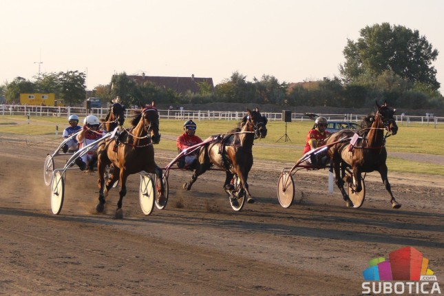 Grlo "Syria AT" pobednik srpskog kasačkog derbija u Subotici