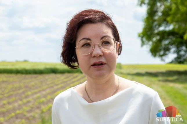 Mesto susreta prošlosti i sadašnjosti: Kuća Kostolanjijevih ponovo u službi zajednice