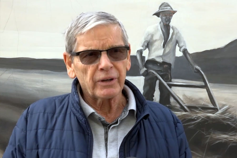 Suvo leto „pojelo“ rod – slabiji prinosi kukuruza i soje širom Vojvodine