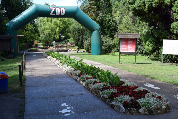 Edukativne radionice za decu u Zoološkom vrtu