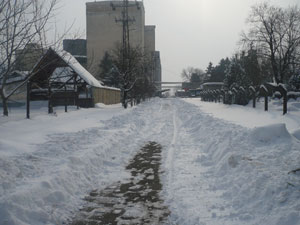 Sneg u Subotici - Pomozi komšiji, pomozi gradu!