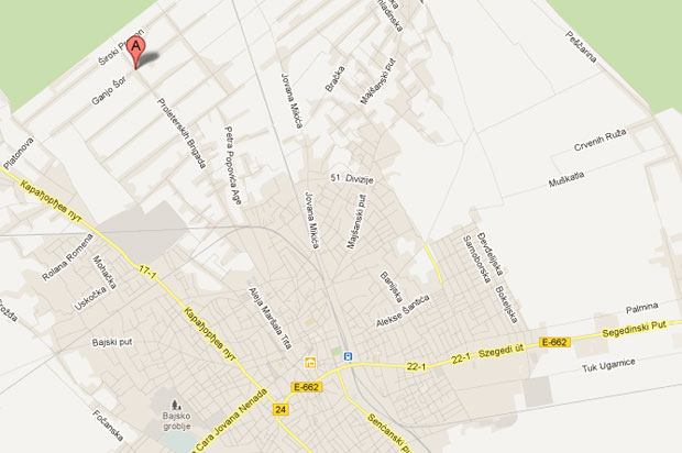 Obećano prihvatilište za pse lutalice više nije aktuelno?