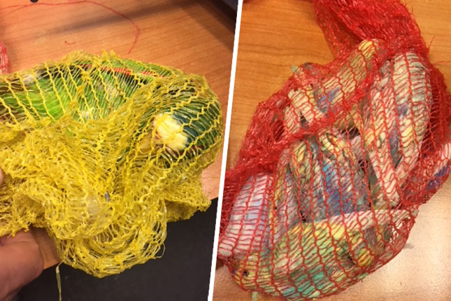 Zaplenjeni zaštićeni papagaji na Bačkim Vinogradima