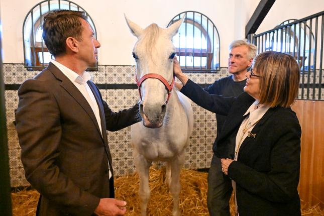 Konji, kultura i turizam: Ergela "Kelebija" dobija moderan muzej