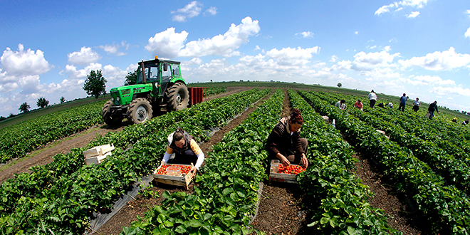 Otvoreni konkursi za podsticaje poljoprivrednicima