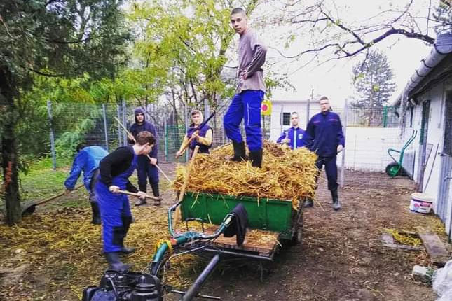 Budući veterinarski tehničari - od kabineta do terena