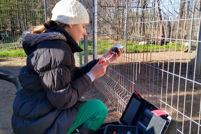 Budući veterinarski tehničari - od kabineta do terena