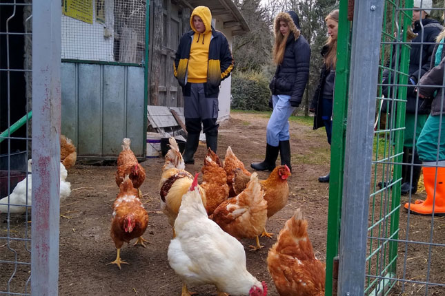 Budući veterinarski tehničari - od kabineta do terena