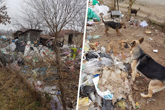 Hordašenje na Makovoj sedmici