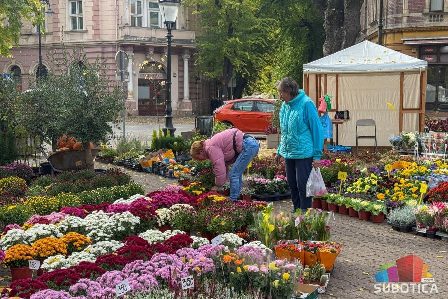 Izložba i vašar cveća donosi bogatu ponudu jesenjeg cveća i ukrasnog bilja