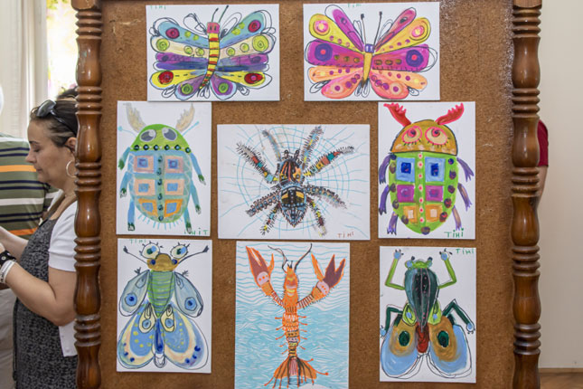 Šestogodišnji Tihomir hiperaktivnost i poremećaj pažnje kontroliše umetničkim delima