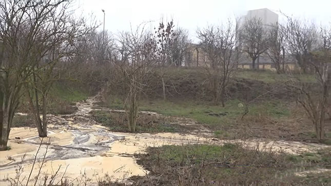 Jezeru u Bajmoku preti ekološka katastrofa?