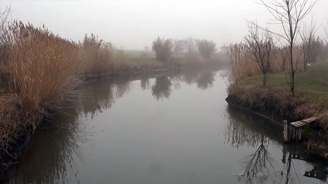 Jezeru u Bajmoku preti ekološka katastrofa?