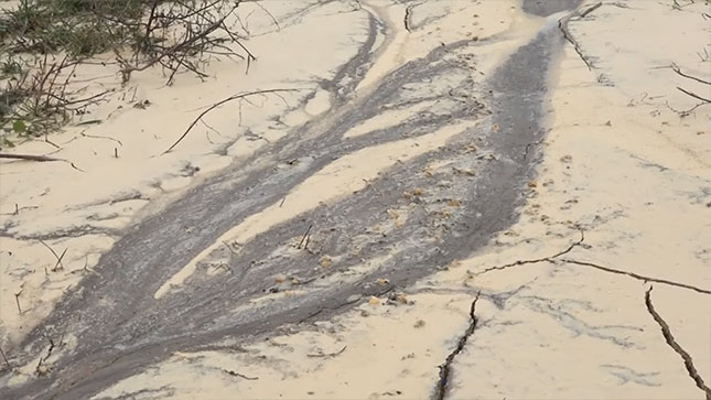 Jezeru u Bajmoku preti ekološka katastrofa?