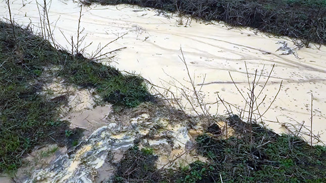 Jezeru u Bajmoku preti ekološka katastrofa?