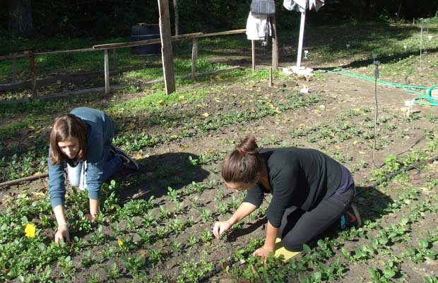 Volonteri iz Gimnazije u Zoo vrtu