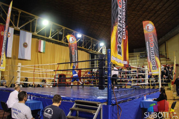 Bokseri Spartaka osvojili važne bodove u Boxing One ligi