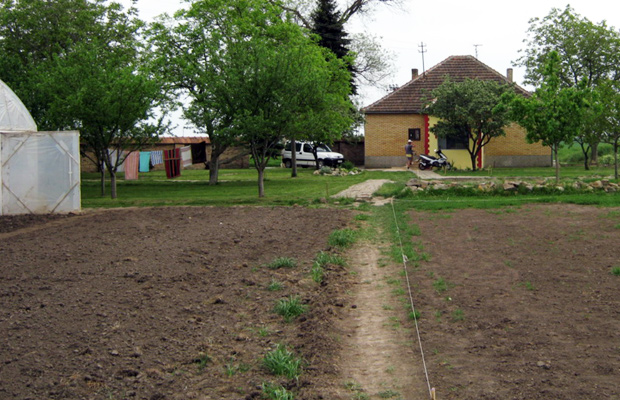 "Hosana" zbog para više ne radi