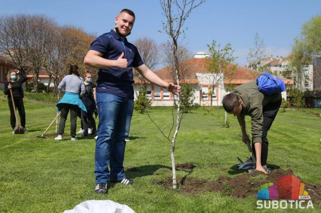 Dvorište OŠ "Sonja Marinković" bogatije za 20 sadnica