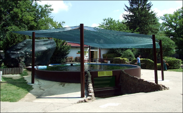 ZOO vrt Palić