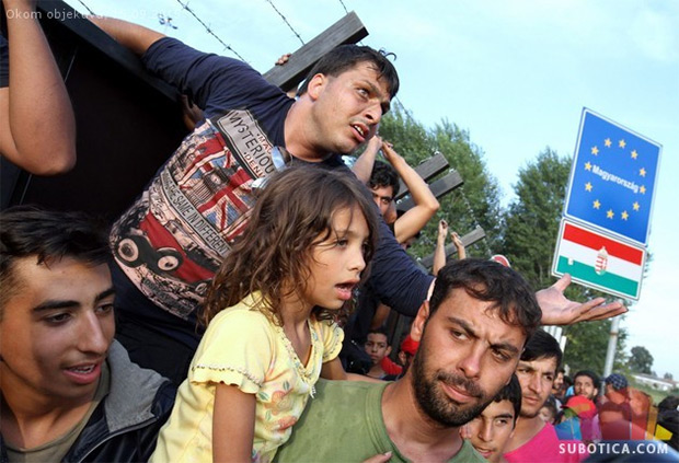Strah na Horgošu: Polovina migranata misli da ih autobusi vraćaju u Siriju, ostali se plaše mina u Hrvatskoj