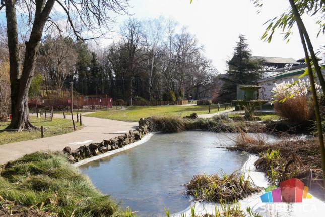 Zoo vrt radi produženo za vreme praznika