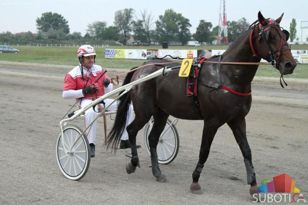Pobednik "89. Srpskog kasačkog derbija" je grlo Samuel Becket