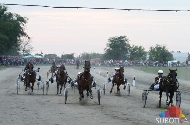 Pobednik "89. Srpskog kasačkog derbija" je grlo Samuel Becket