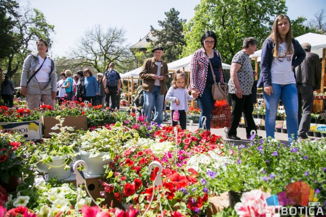 Veliko interesovanje za prolećni vašar cveća
