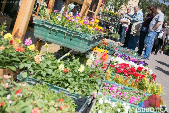 Veliko interesovanje za prolećni vašar cveća