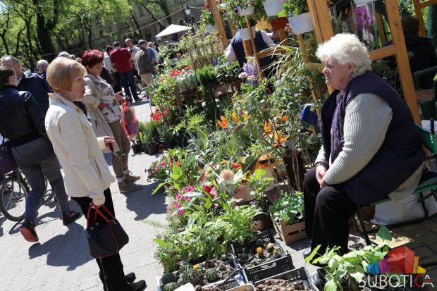 Otvorena Regionalna izložba i Vašar cveća i bašte - "Garden flora"