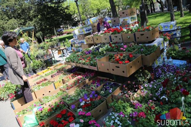 Otvorena Regionalna izložba i Vašar cveća i bašte - "Garden flora"