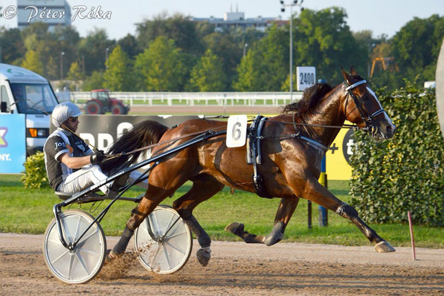 Prvi put na čuvenom "Vensan" hipodromu biće i predstavnika iz Subotice