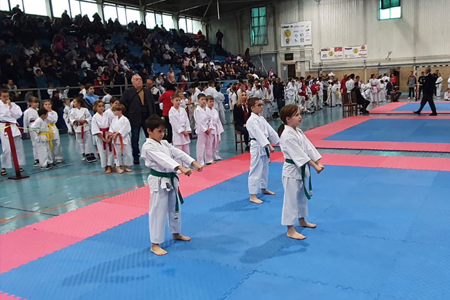 Karate: Trinaest medalja mlađih uzrasta "Spartak Enpija" u Temerinu