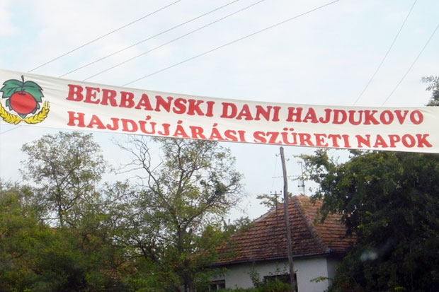 Berbanski dani u Hajdukovu za vikend