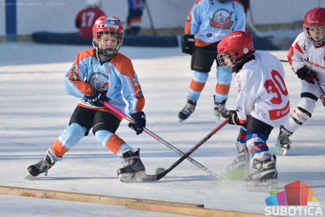 Spartans 2017 - međunarodni turnir za mlađe kategorije hokejaša