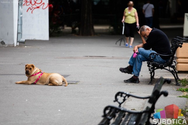 Sugrađane obradovalo osveženje, lekari savetuju oprez
