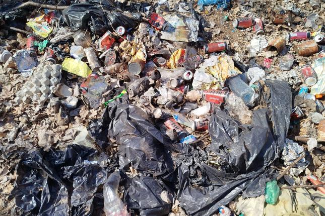 Održana prva prolećna akcija čišćenja šume, u aprilu sledi druga