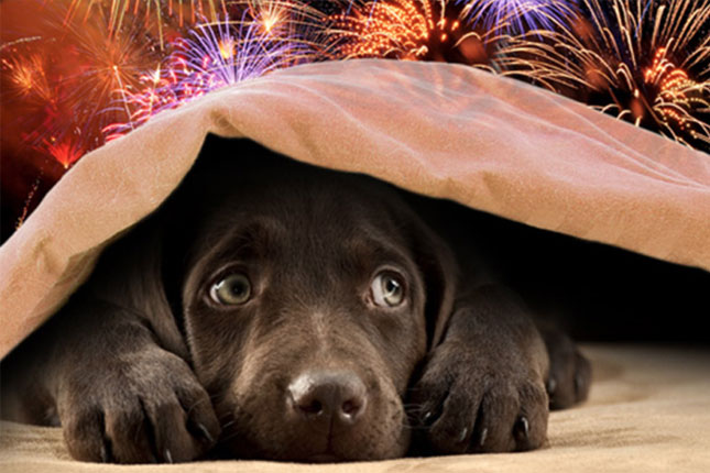 Oprezno sa pirotehnikom - budite bezbedni i mislite na druge