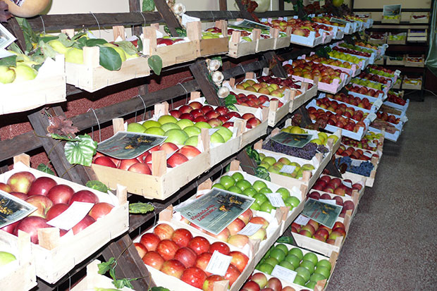 Održani 47. Berbanski dani u Hajdukovu